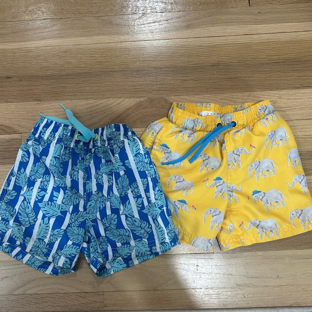TWO! EGG New York Toddler Boy Swim Trunks